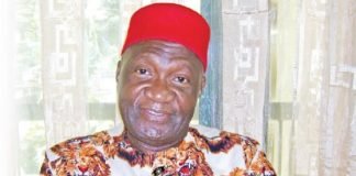 Igbo Presidency: No One Can Stop Igbo's In 2023, Only... Ohanaeze