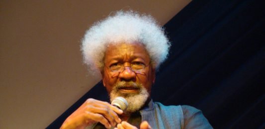 It's Not A Crime To Call For Secession, It's A Right – Wole Soyinka