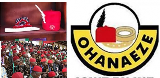 Ohanaeze Election: Igbo Leader Warn Ndigbo To Shun Election