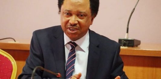 Alleged Fraud: Shehu Sani Commends South East Governors