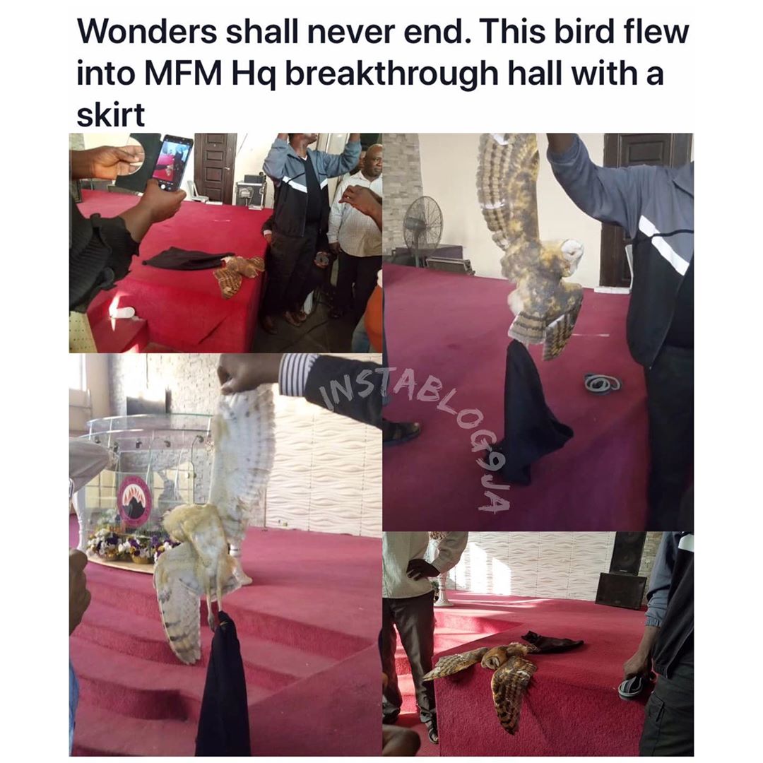 Strange Bird In Skimpy Skirt Flies Into MFM Church During Service (Photo)