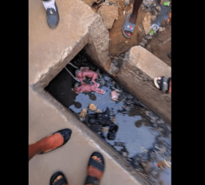 Twins dumped in a drainage