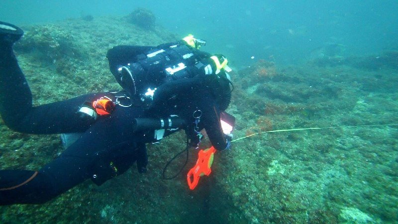 marine biologist