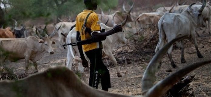 Armed Fulani herdsmen