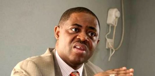 Fani-Kayode: If Herdsmen Are Licensed To Carry Arms, Farmers Must Too