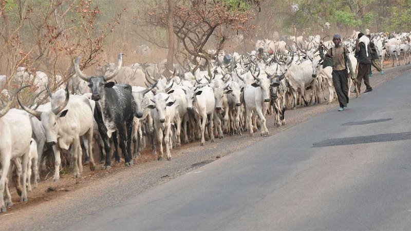 Ganduje Wants Ban Of Herders Coming In From Other African Countries