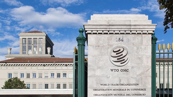 Meet Candidates Battling Okonjo-Iweala For The Position Of Director General Of The WTO