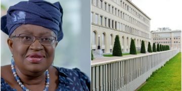 Deserved: Okonjo-Iweala Set To Be First Woman Named WTO Boss