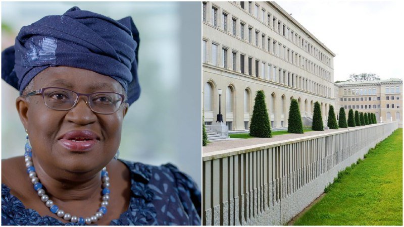 WTO DG: South Korean Minister Withdraws, As Okonjo-Iweala Left As Sole Candidate