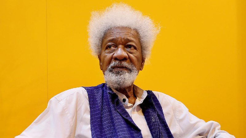 Wole Soyinka: This Is What Will Happen If National Water Resources Bill Is Passed