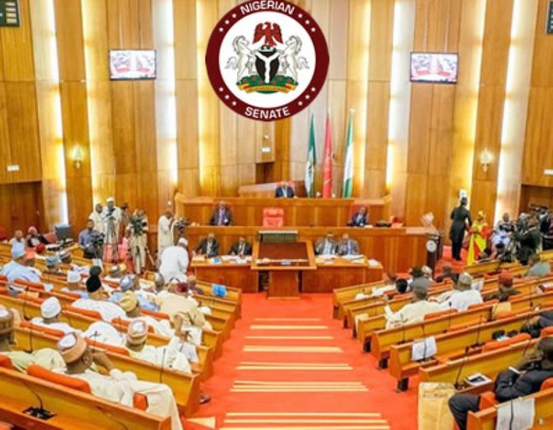 JUST IN: Senate Passes 2021 Budget, Adds N505bn