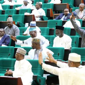 SIM Blocking: Reps Plead With FG To Extend Deadline For NIN Update To 10 Weeks