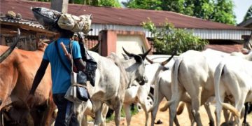 UPDATE: Suspected Gunmen Kill Herdsman In Anambra