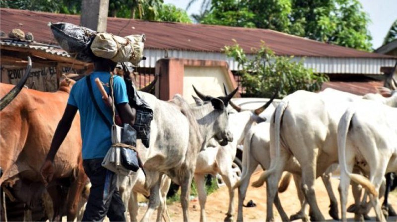 Herdsmen ‘Invade’ Ibadan Community, OPC Raises Alarm