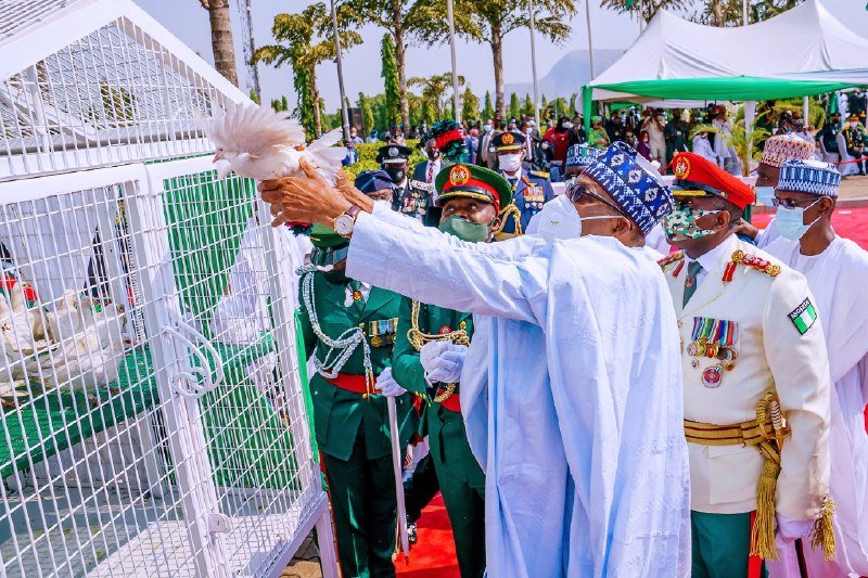 Presidency Reveals Why Pigeons Buhari Released Refused To Fly