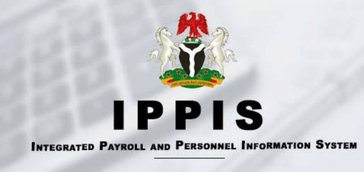NASU Chairman: IPPIS Is A Scam, Fed Govt Deceived Us