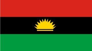 2023: Coalition of Pro-Biafra Groups Backs Igbo Presidency