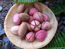 Kolanut presented on a traditional ceremonial platter.