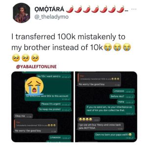 Hilarious Conversation After Lady Mistakenly Sent Brother 100k Instead Of 10k (Screenshots)