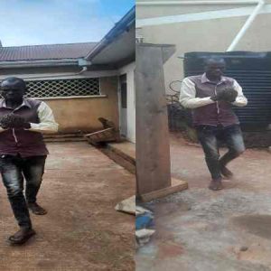 Man ‘Arrested’ By Bees For Allegedly Stealing N7 Million (Photos)