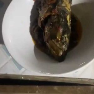 Man Surrenders, Begs Wife After She Caught Him Stealing Fish From Stew Pot (Video)