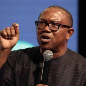 God Blessed Nigeria With Everything, Except Good Leadership - Peter Obi